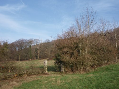 Hedgelaying at the gate stoops of the teaching apiary